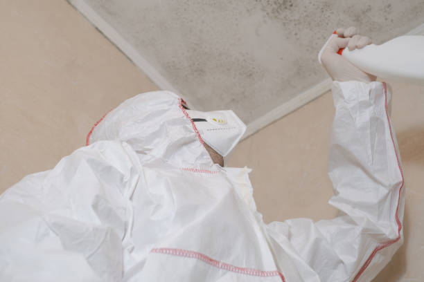 Best Mold Removal Company Near Me  in Warsaw, IN